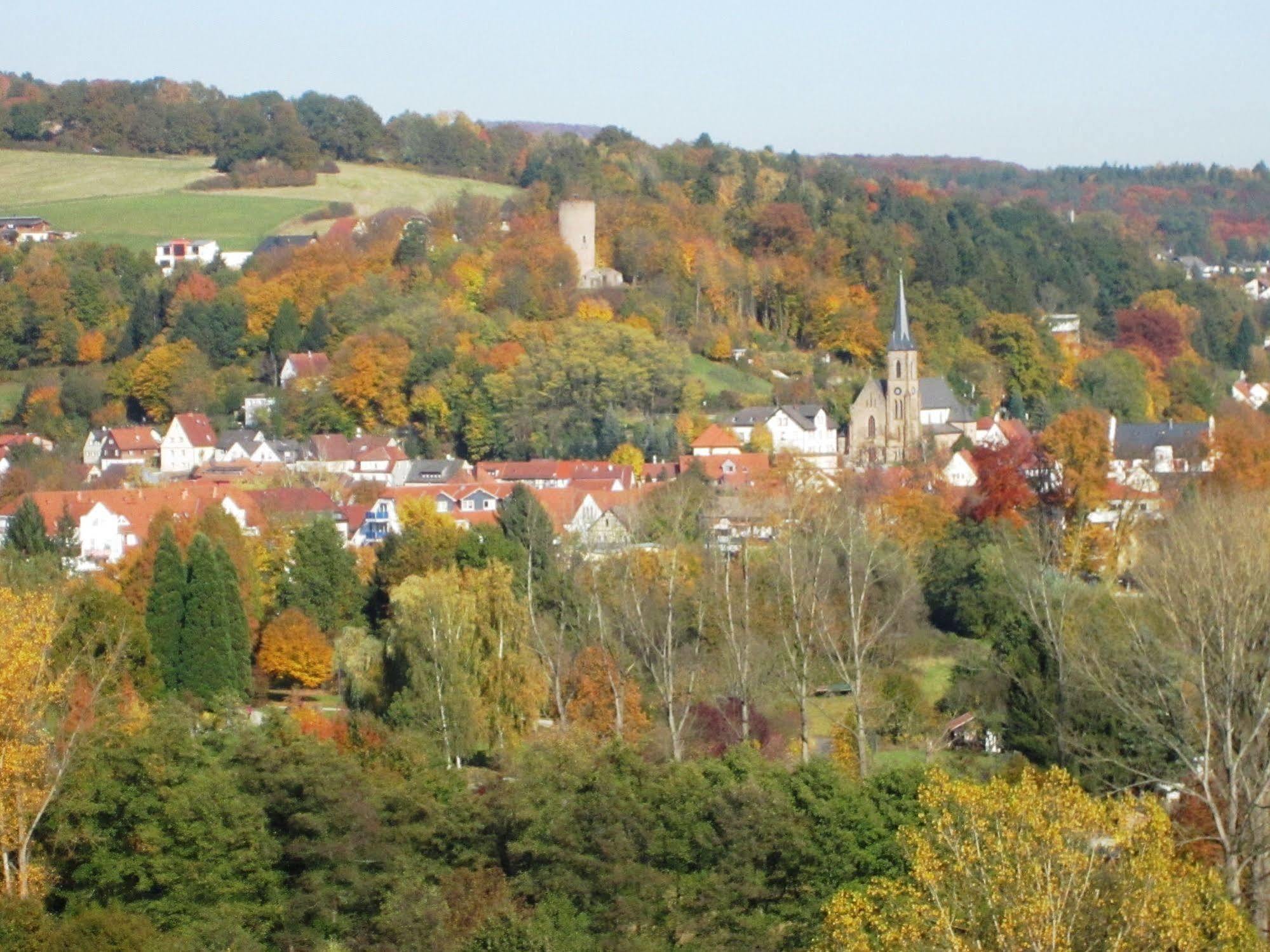 Trip Inn Landhotel Badsoden-Salmuenster Bad Soden-Salmünster Esterno foto